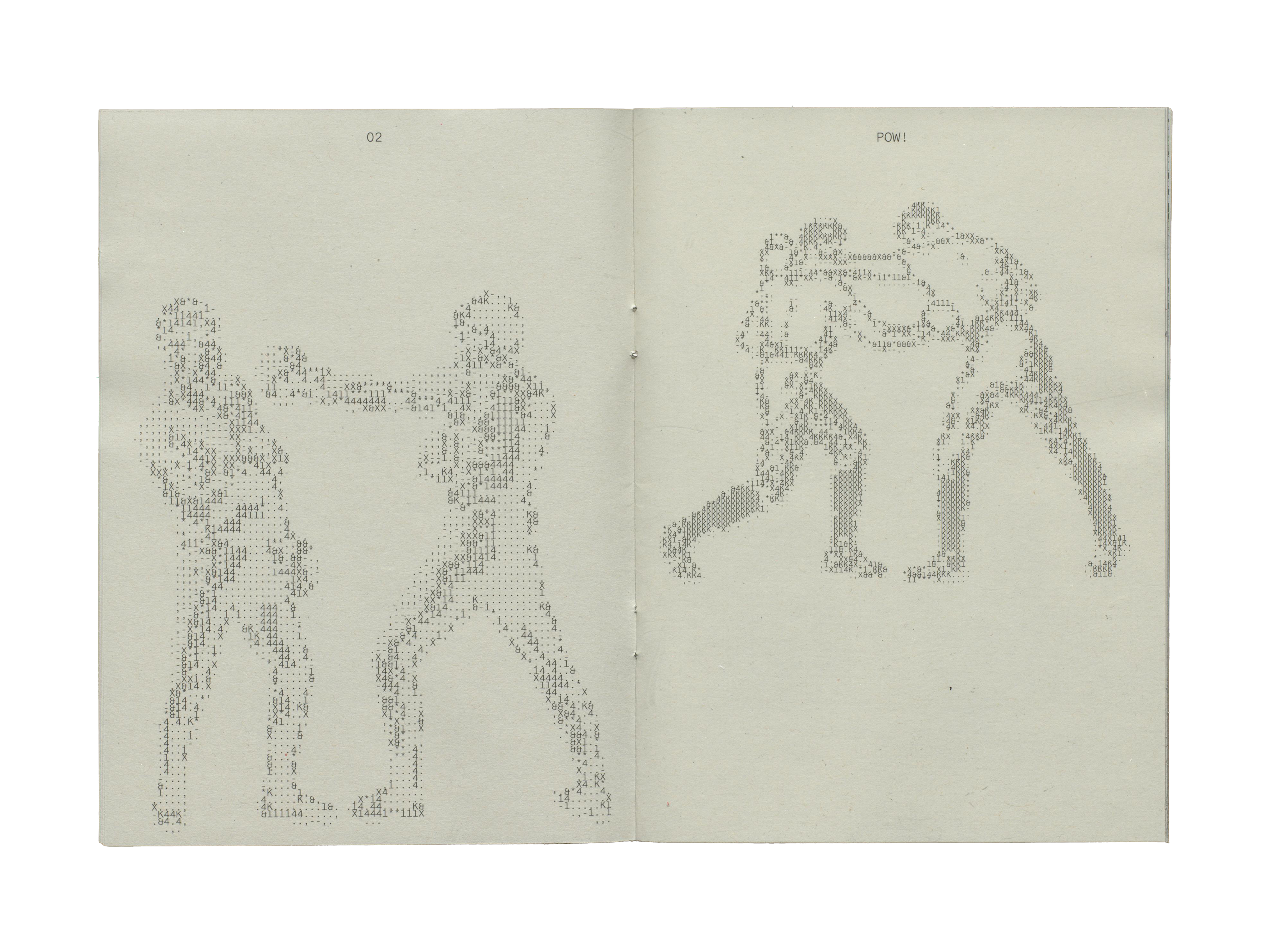 Fotographie ASCII Zine