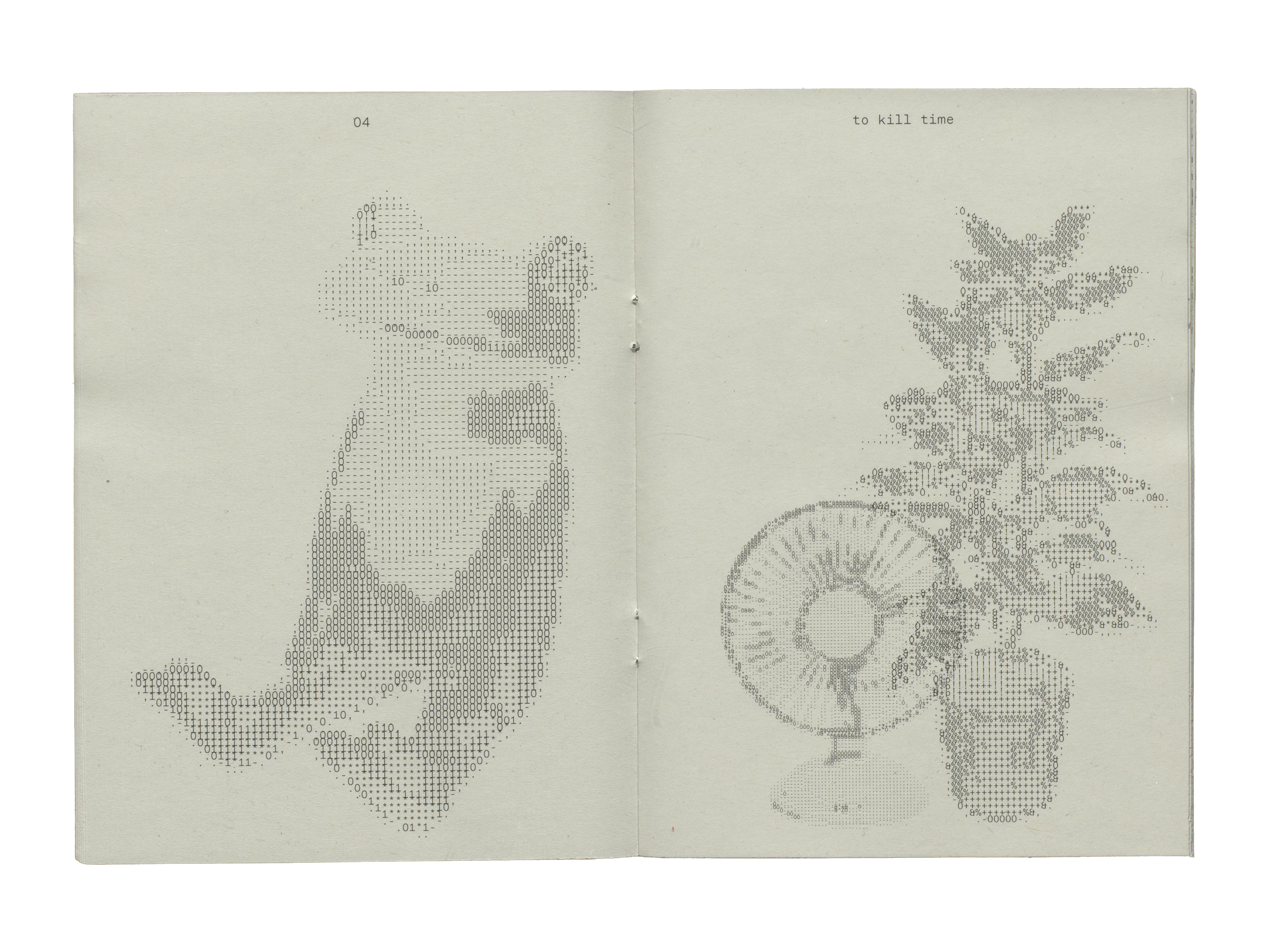 Fotographie ASCII Zine