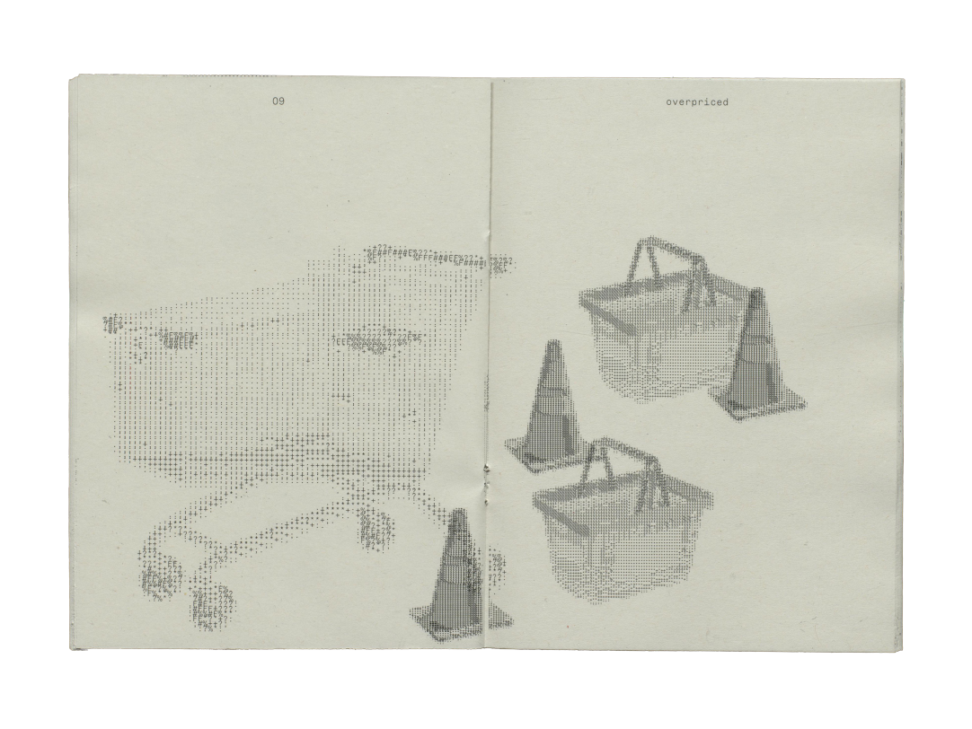 Fotographie ASCII Zine