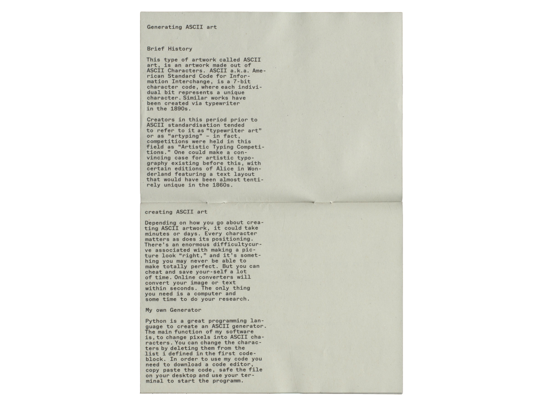 Fotographie ASCII Zine