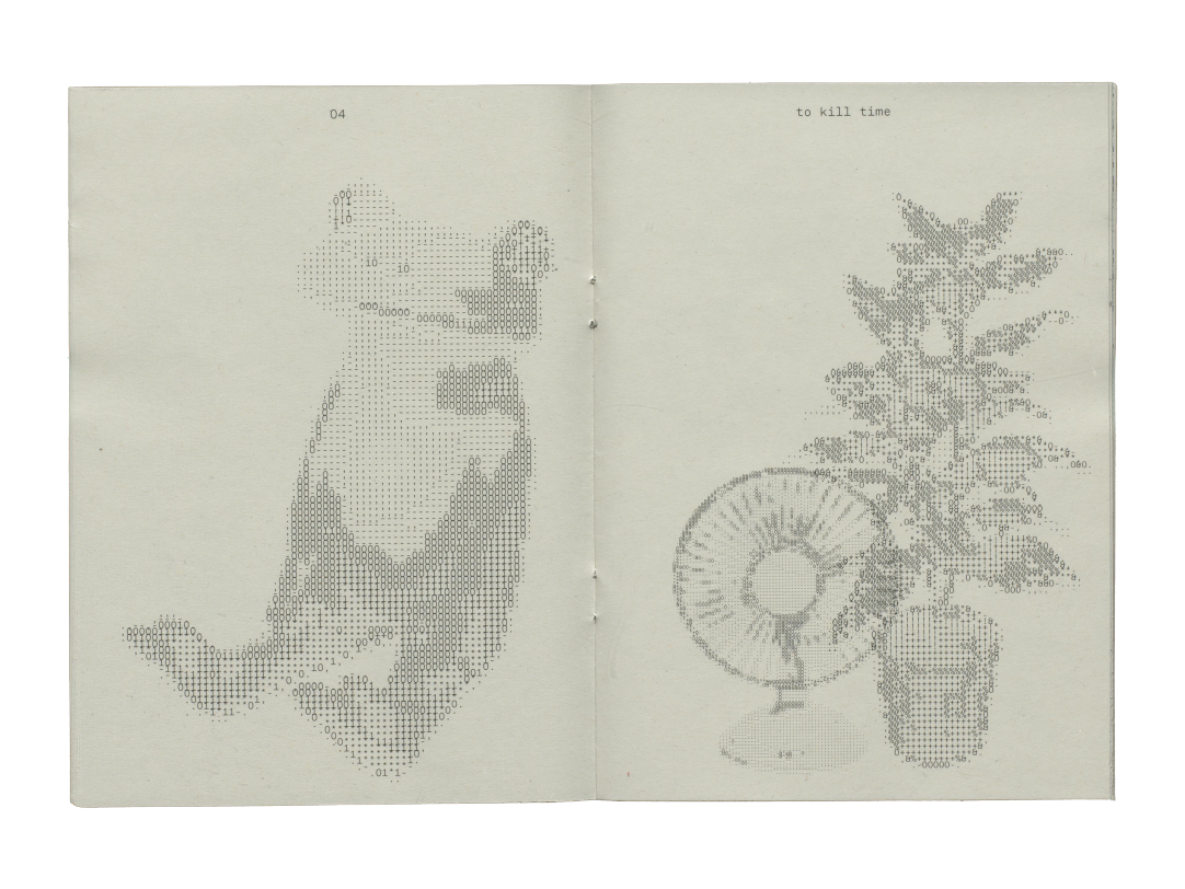 Fotographie ASCII Zine